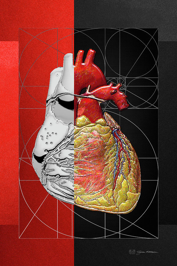 Dualities - Half-Silver Human Heart on Red and Black Canvas Digital Art by Serge Averbukh