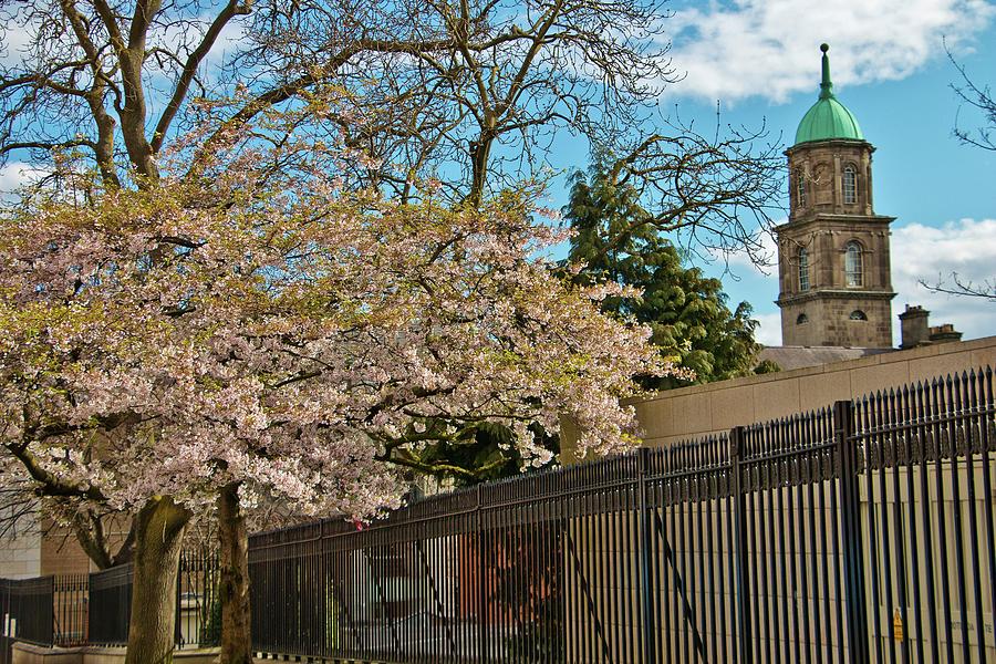 Dublin in Spring Photograph by Marisa Geraghty Photography