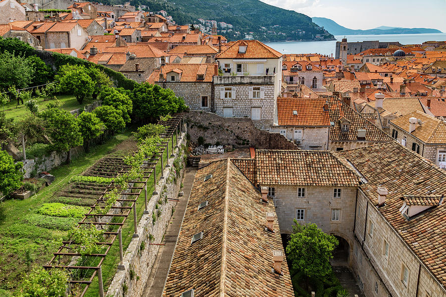 Dubrovnik from the Wall Photograph by Lindley Johnson