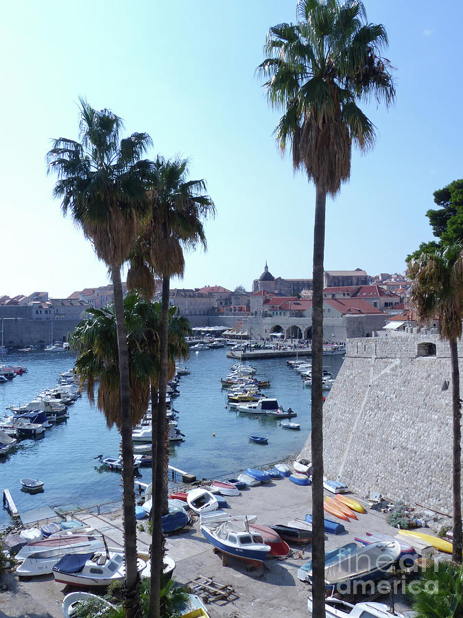 Dubrovnik -  Old City Harbour - Croatia Photograph by Phil Banks
