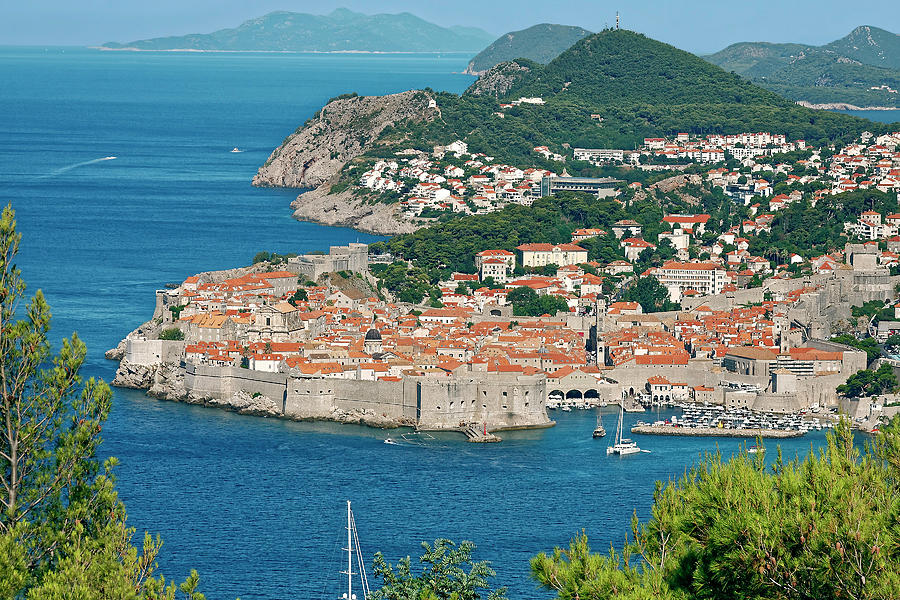 Dubrovnik Old Town Overview Photograph by Sally Weigand