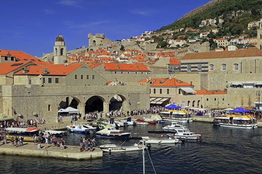 Dubrovnik Old Town Port Photograph by Tony Murtagh