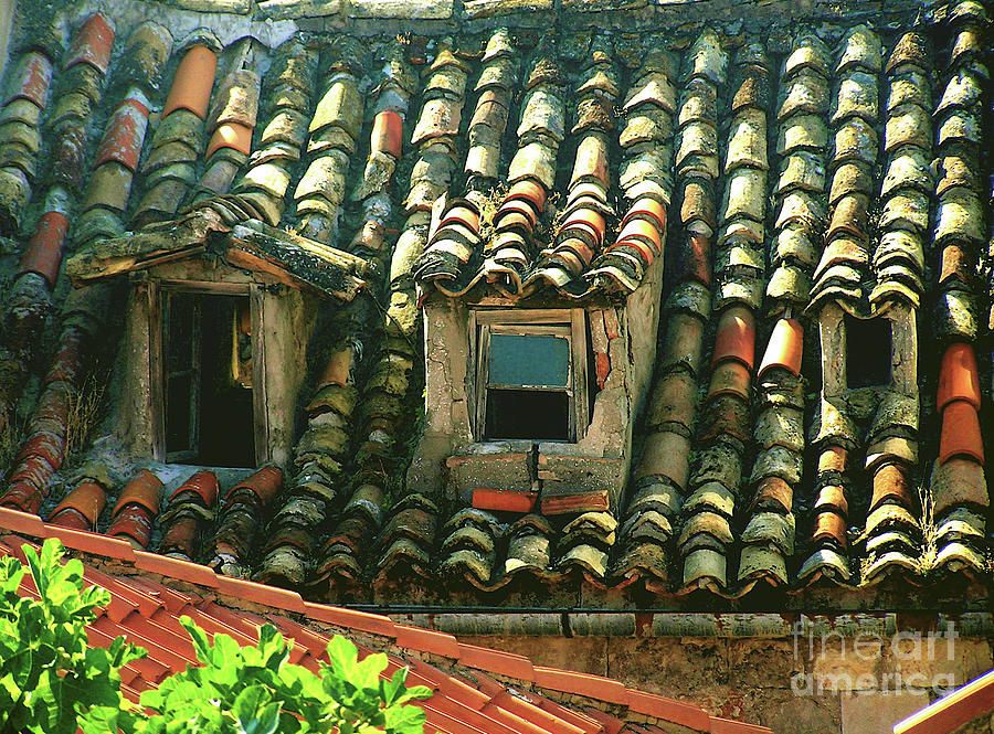 Dubrovnik Roof Tiles Photograph by Mary Kobet