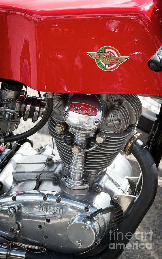 Ducati 250 Single Photograph by Tim Gainey