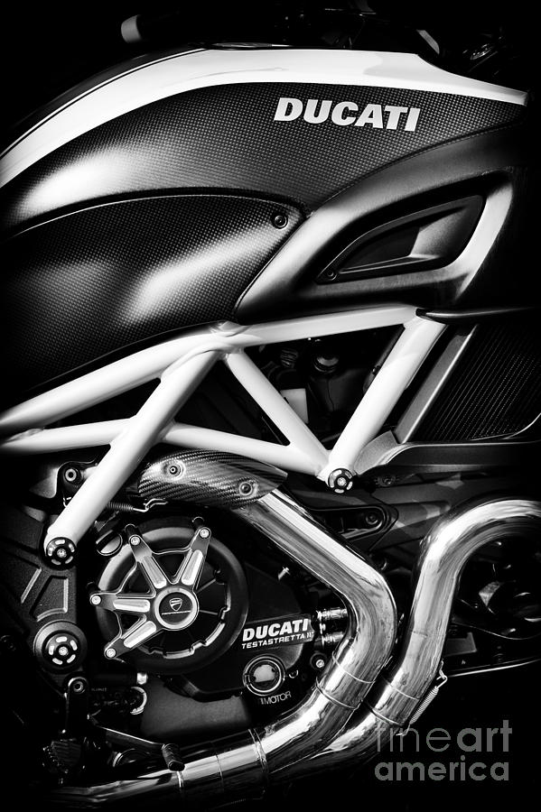 Ducati Monster Photograph by Tim Gainey