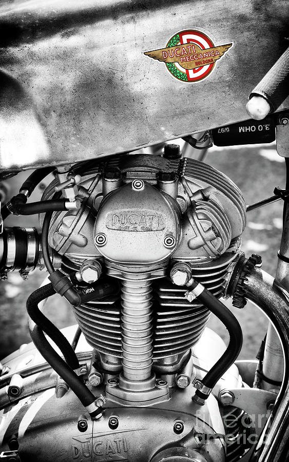 Ducati Single Monochrome  Photograph by Tim Gainey