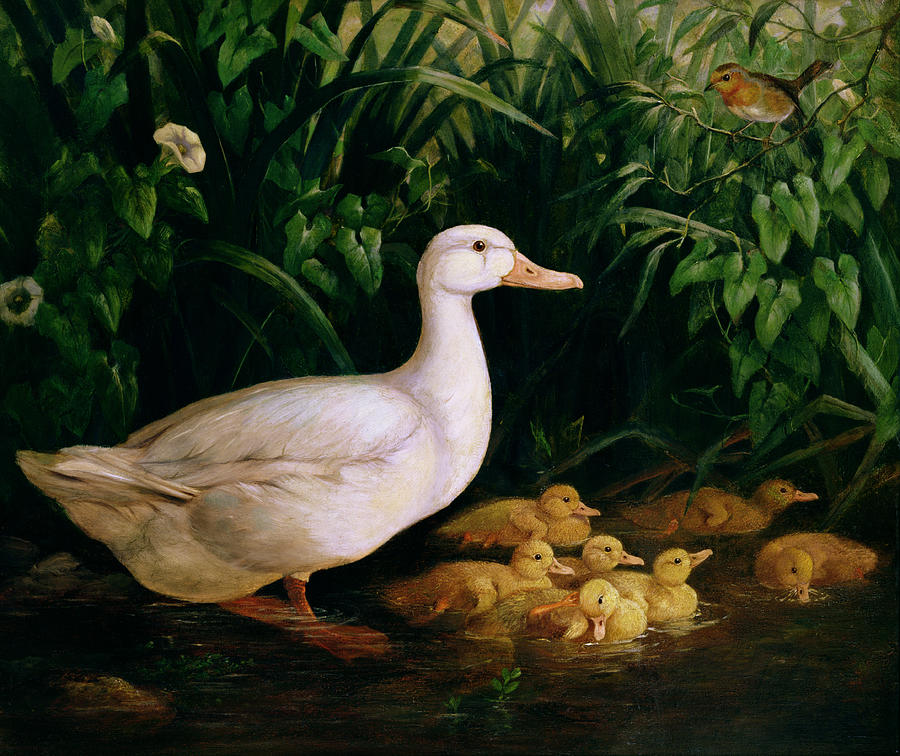 Duck Painting - Duck and ducklings by English School