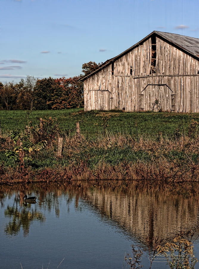 Duck Barn Photograph by John McDonald - Fine Art America