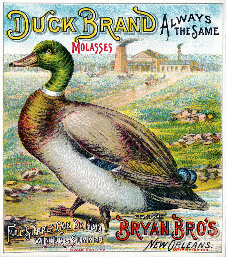 Duck Brand Molasses.  Drawing by Granger