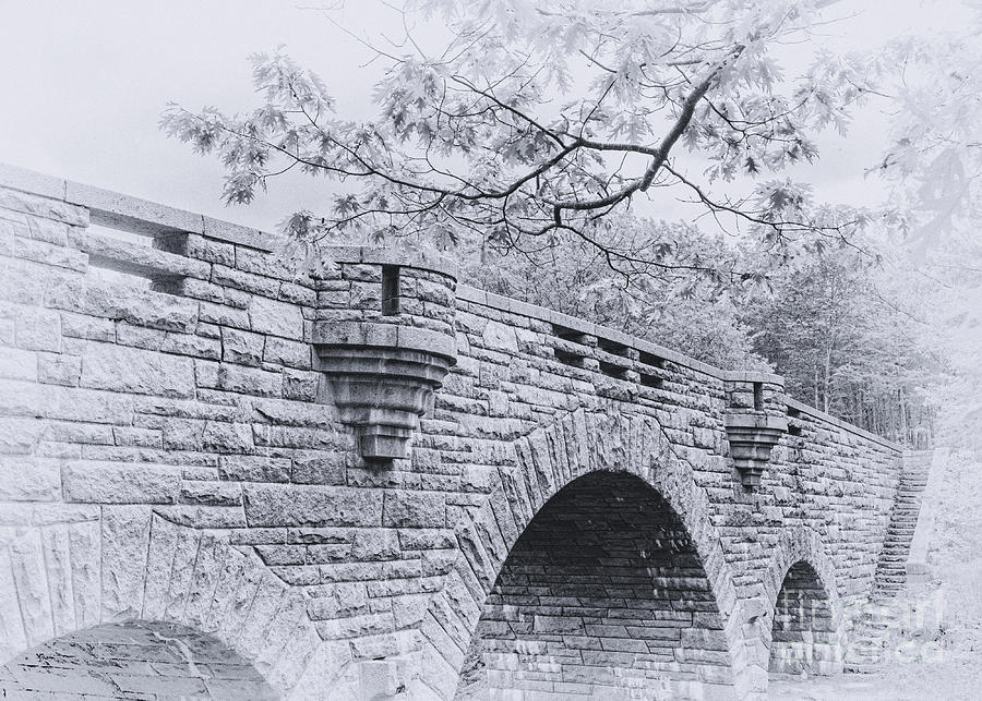 Duck Brook Bridge in Black and White Photograph by Anita Pollak