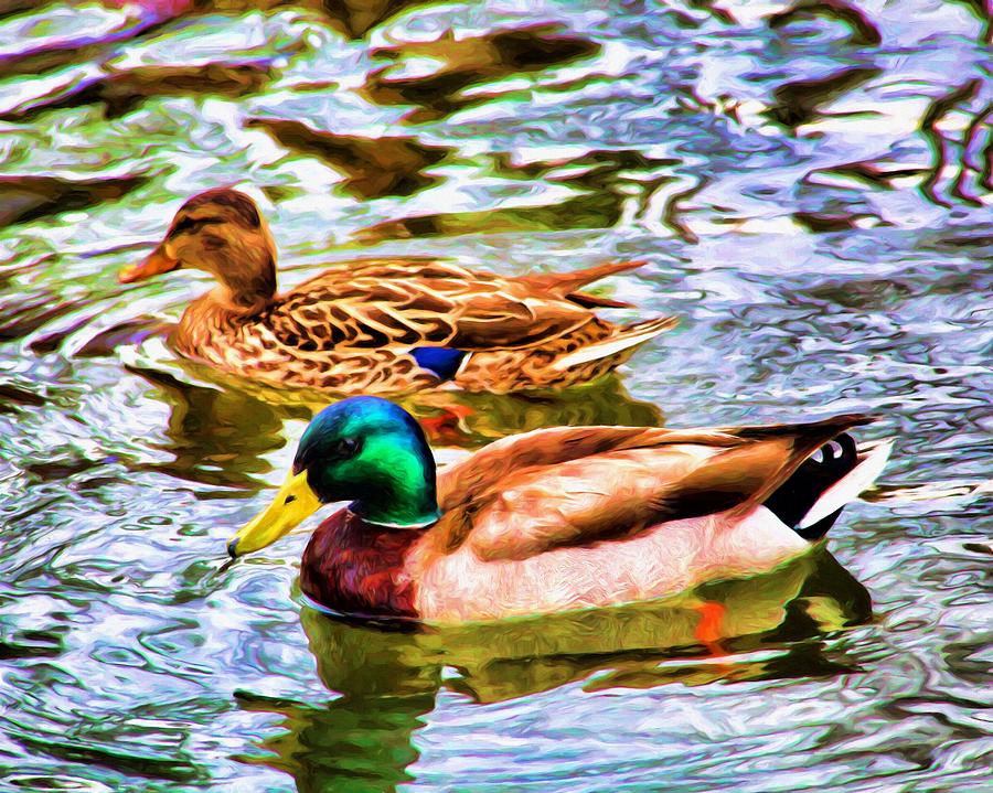 Duck Couple Painting by Jim Buchanan - Fine Art America