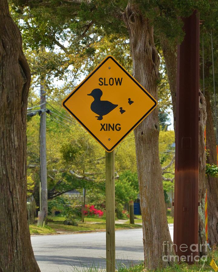 Duck Crossing Sign Photograph by Bob Sample
