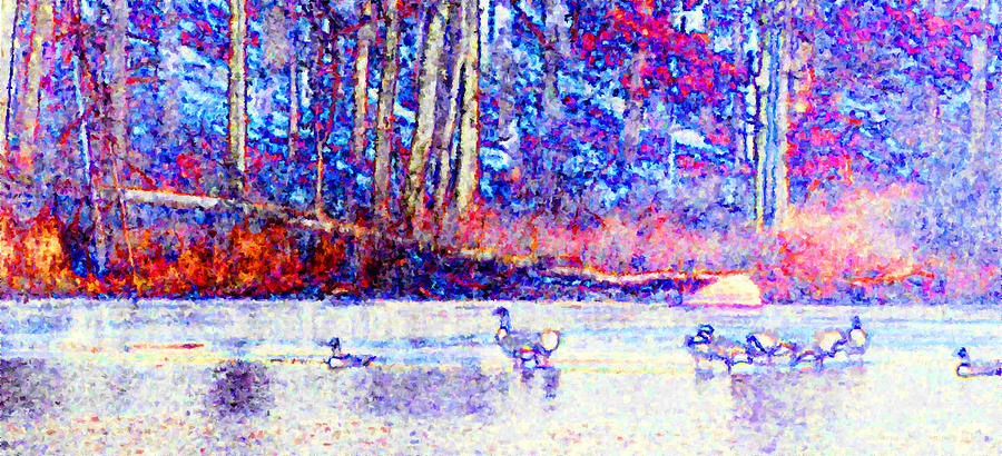 Duck Days In Maine Photograph