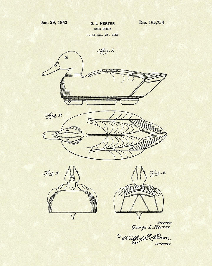 Duck Decoy 1952 Patent Art Drawing by Prior Art Design