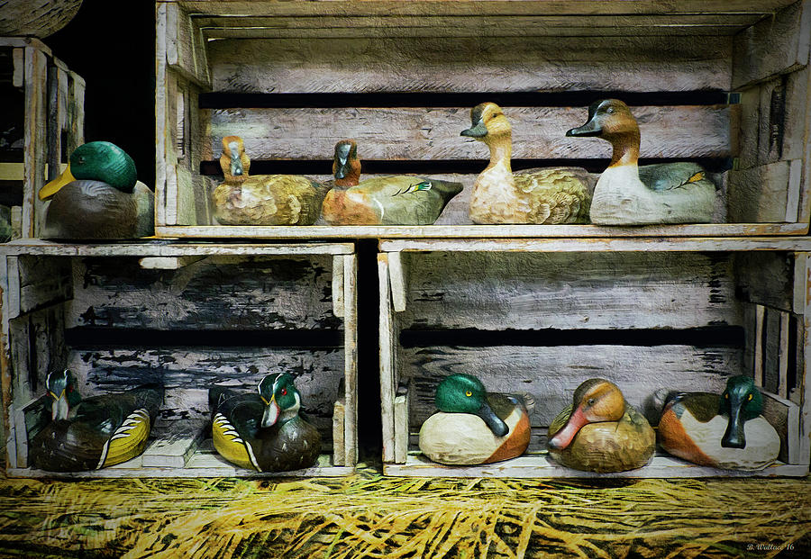 Duck Decoy Display Photograph by Brian Wallace