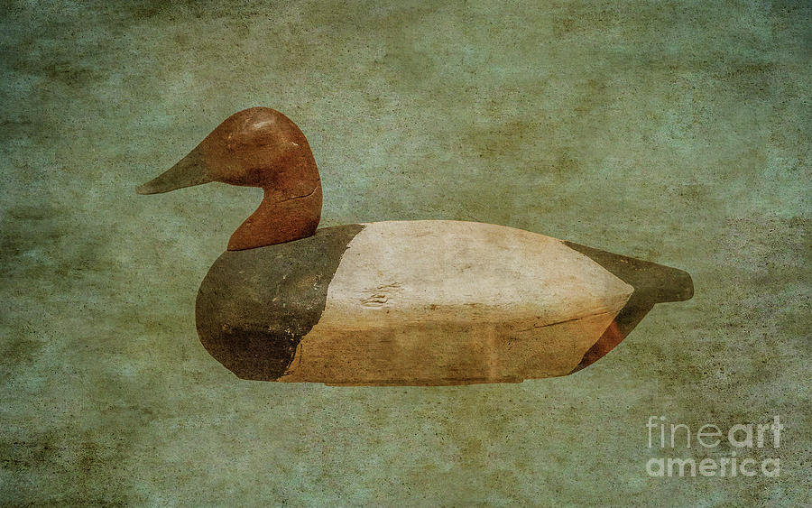 Duck Decoy Number One  Digital Art by Randy Steele
