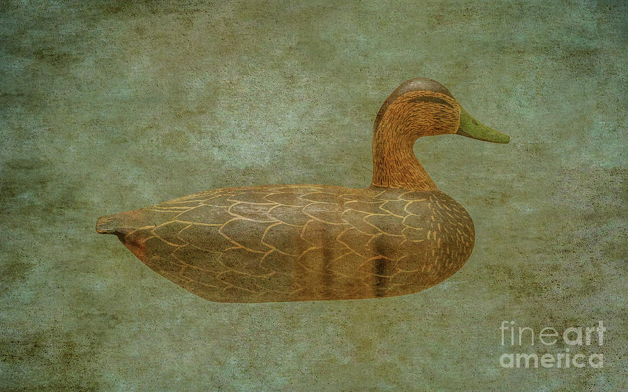Duck Decoy Number Three Digital Art by Randy Steele