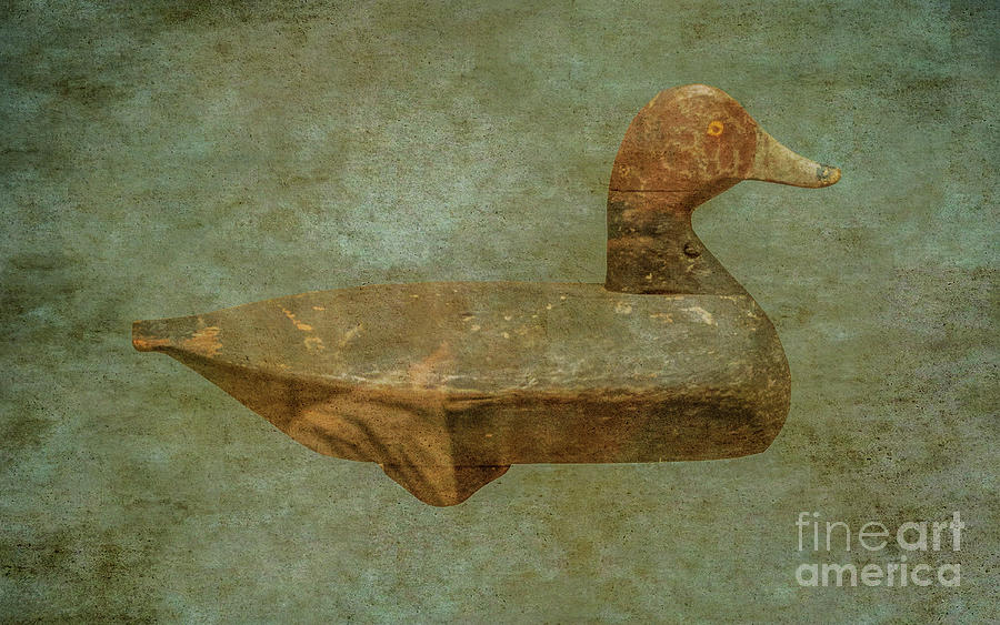 Duck Digital Art - Duck Decoy Number Two by Randy Steele