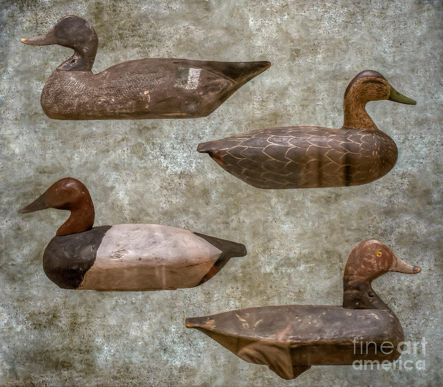 Duck Decoys on Brown Digital Art by Randy Steele