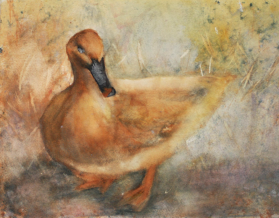 Duck Painting by Denice Palanuk Wilson