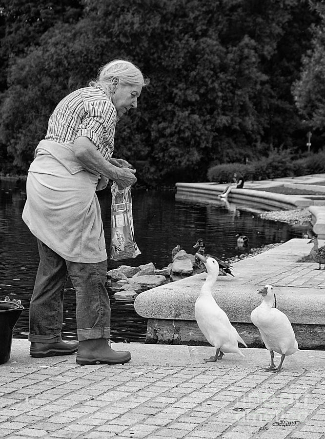 Duck Feeding Photograph by Jutta Maria Pusl
