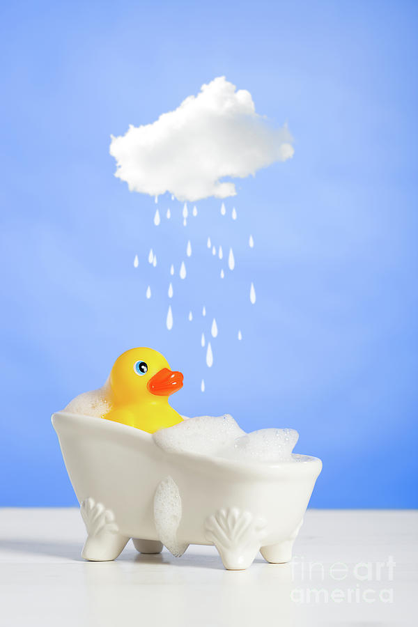 Duck Photograph - Duck Having A Bath by Amanda Elwell