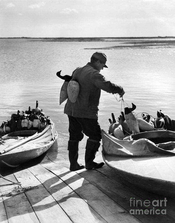 Duck Hunter With Decoys, C.1930-40s Photograph by H. Armstrong Roberts/ClassicStock