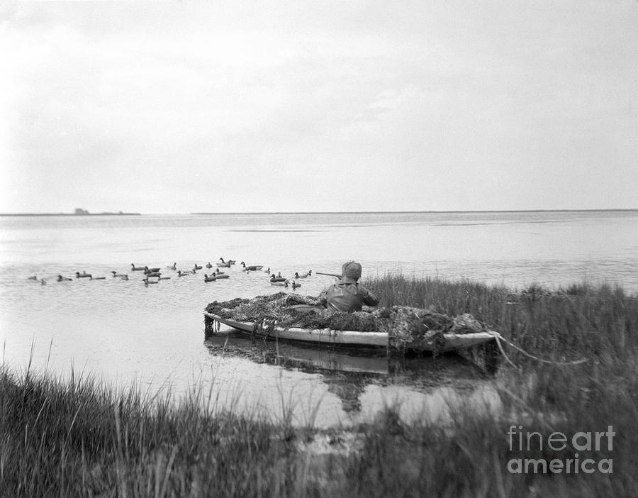 Duck Hunting, C.1920s Photograph by H. Armstrong Roberts/ClassicStock