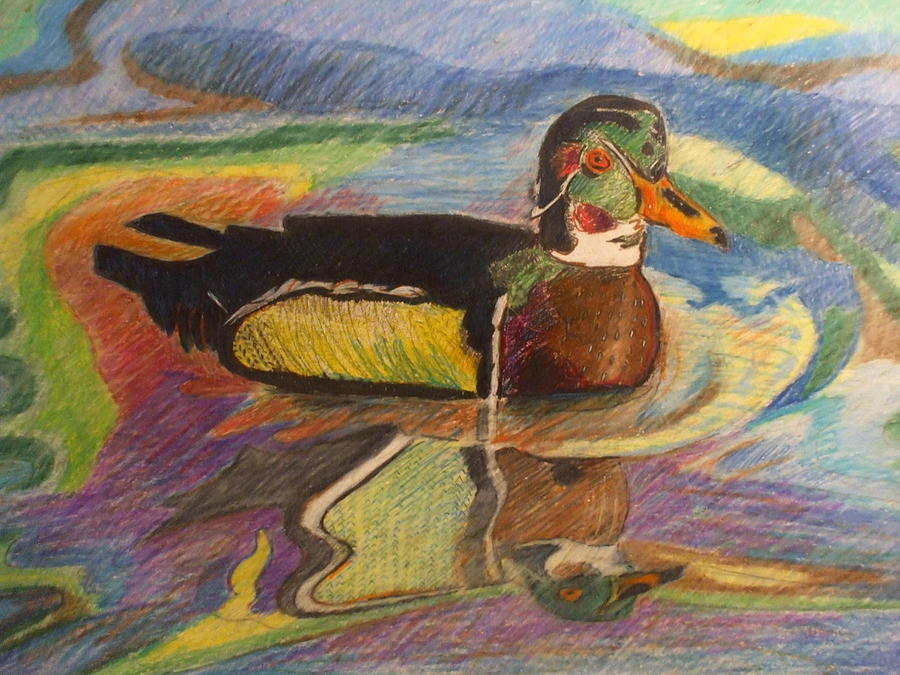 Duck In The Water Mixed Media