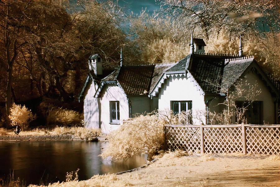 Duck Island Cottage Photograph by Helga Novelli