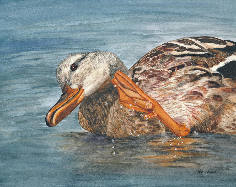 Duck Itch Painting by Jean James