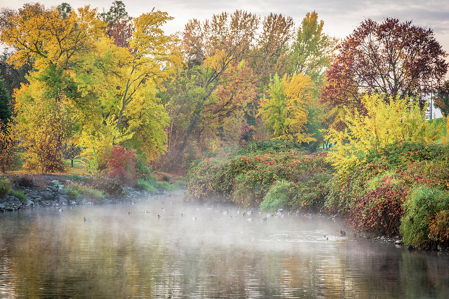 Duck Pond Fog Photograph by Brad Stinson