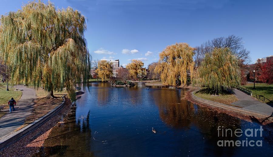 Duck Pond Public Gardens Boston Massachusetts Photograph by Thomas Marchessault