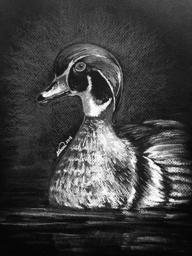 Duck Portrait Drawing by Alban Dizdari