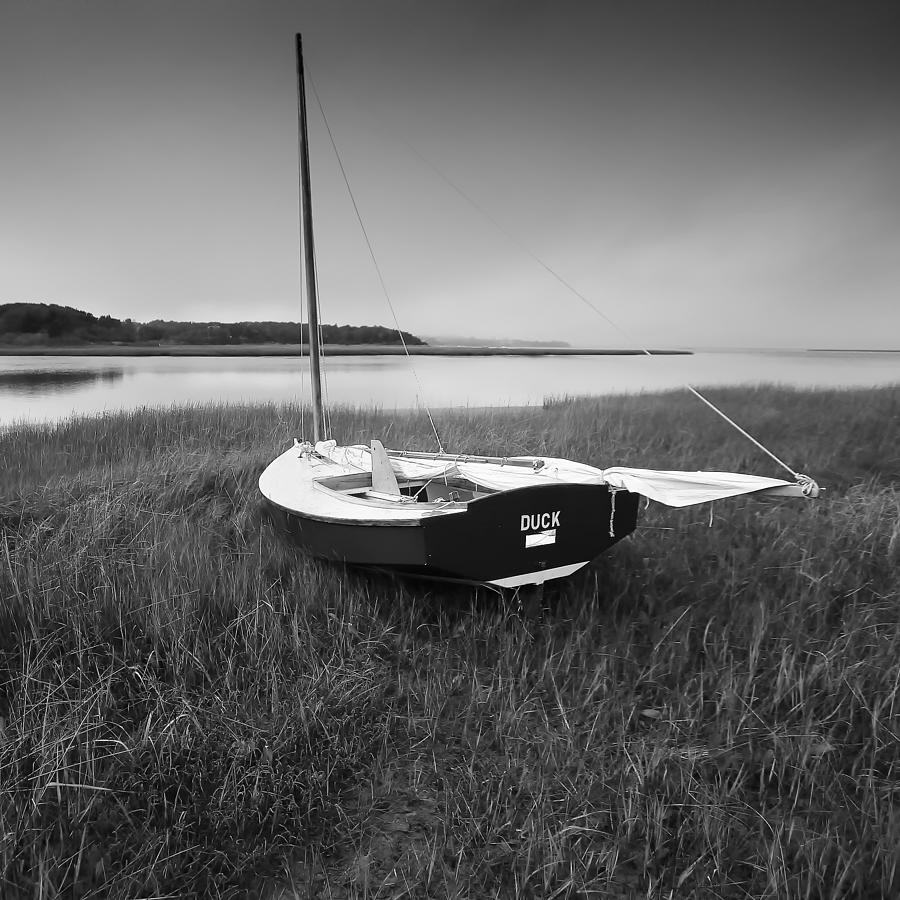 DUCK Sail Boat Black and White Photography Photograph by Darius Aniunas