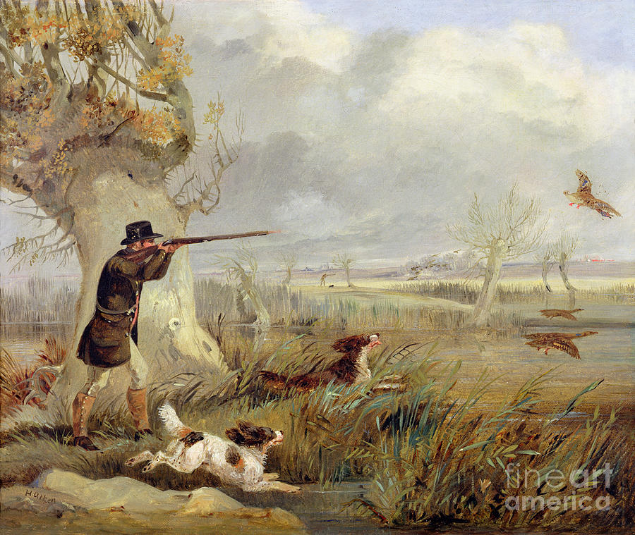 Duck Painting - Duck Shooting  by Henry Thomas Alken