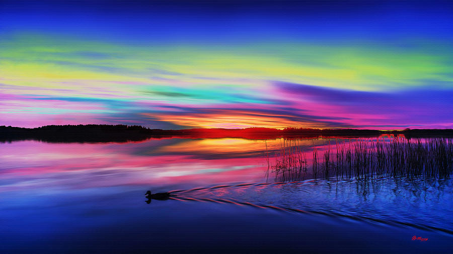 Duck Sunset Digital Art by Gregory Murray