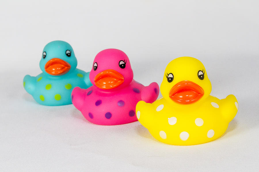Duck Trio by Shannon Kunkle Duck Trio by Shannon Kunkle