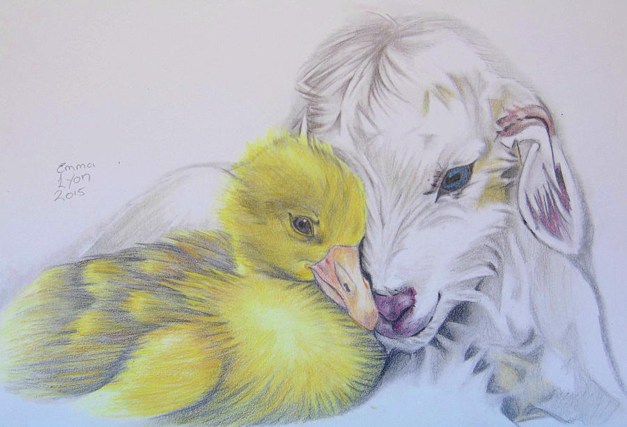 duck and ducklings drawing