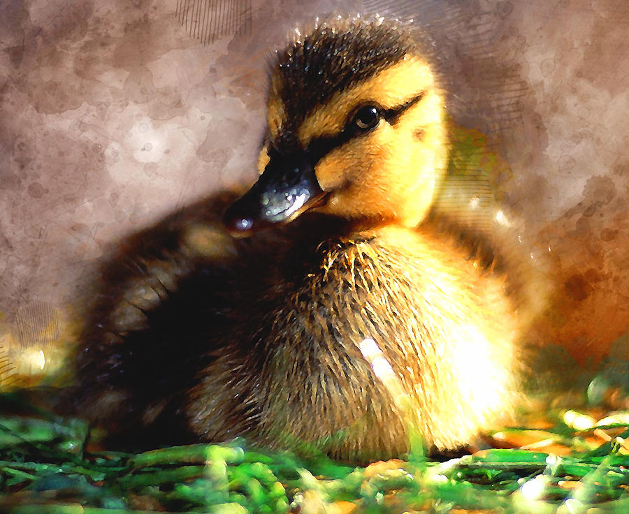 Duckling Mixed Media by Marvin Blaine