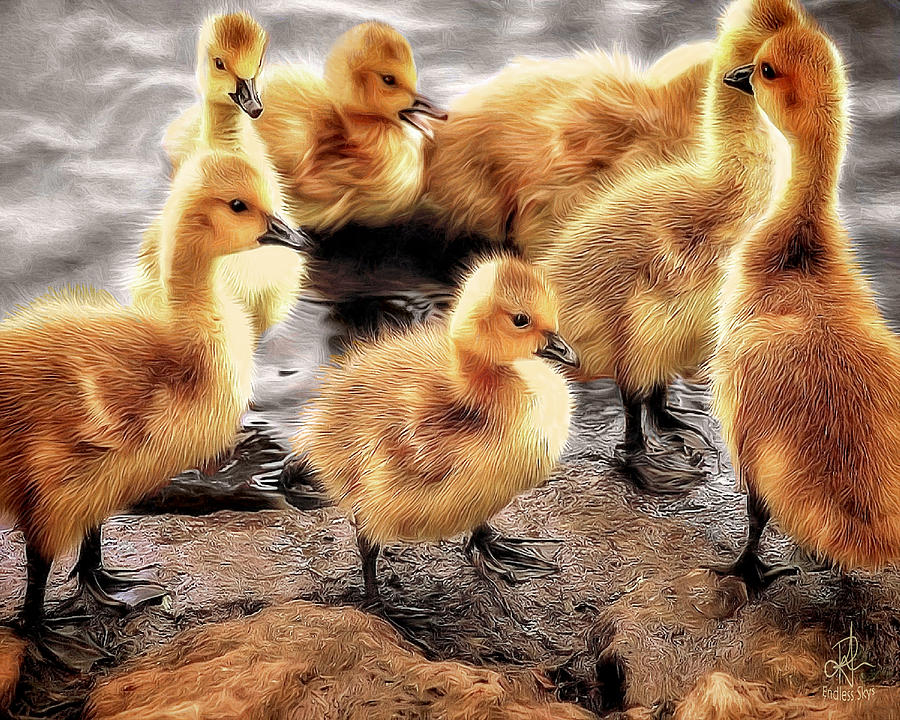 Ducklings Digital Art by Pennie McCracken