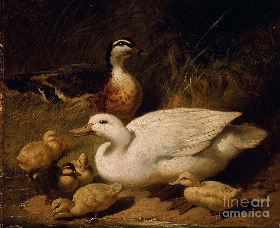 Ducks and Ducklings Painting by MotionAge Designs