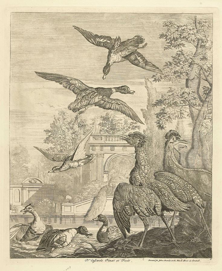 Ducks and herons at a bird pond, Peter Casteels III, 1708 - 1749 ...