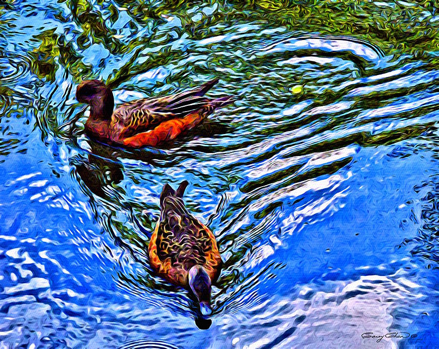 Ducks Digital Art by Anthony C Chen - Fine Art America