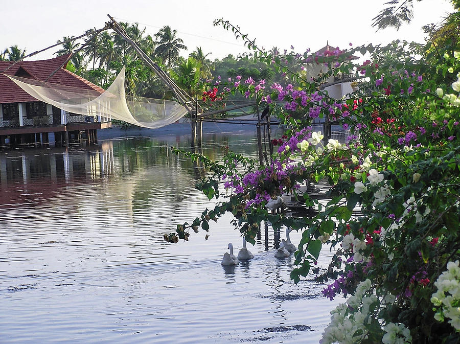 Ducks, fishing net, flowers, water and cottages make a great pho Photograph by Ashish Agarwal