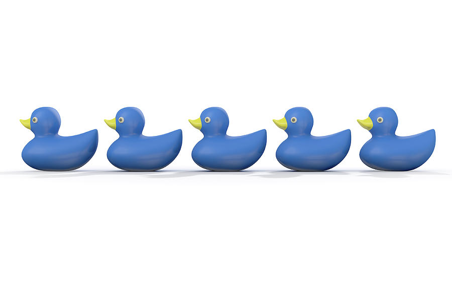 Duck Digital Art - Ducks In A row by Allan Swart