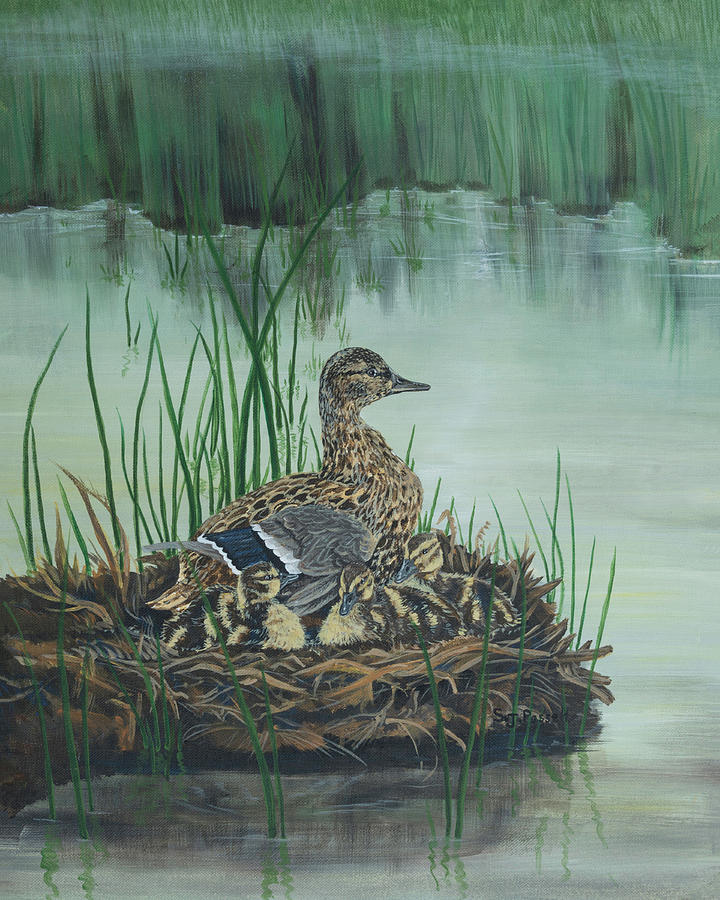 Ducks in Lifting Fog Painting by Sheri Jo Posselt