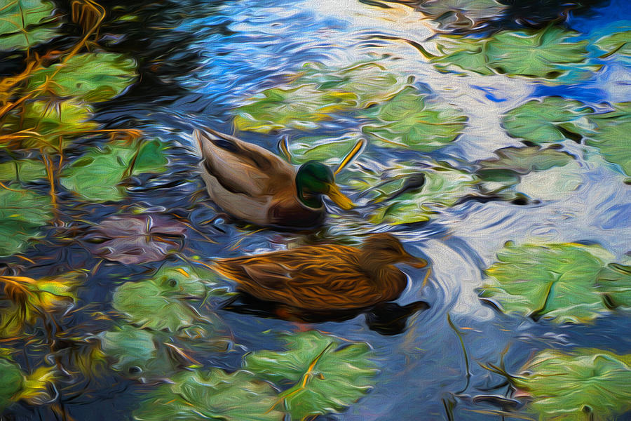 Ducks in lily pond Digital Art by Lilia S