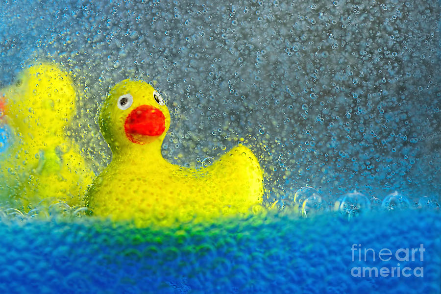 Duck Photograph - Ducks in the Tub by Kaye Menner by Kaye Menner