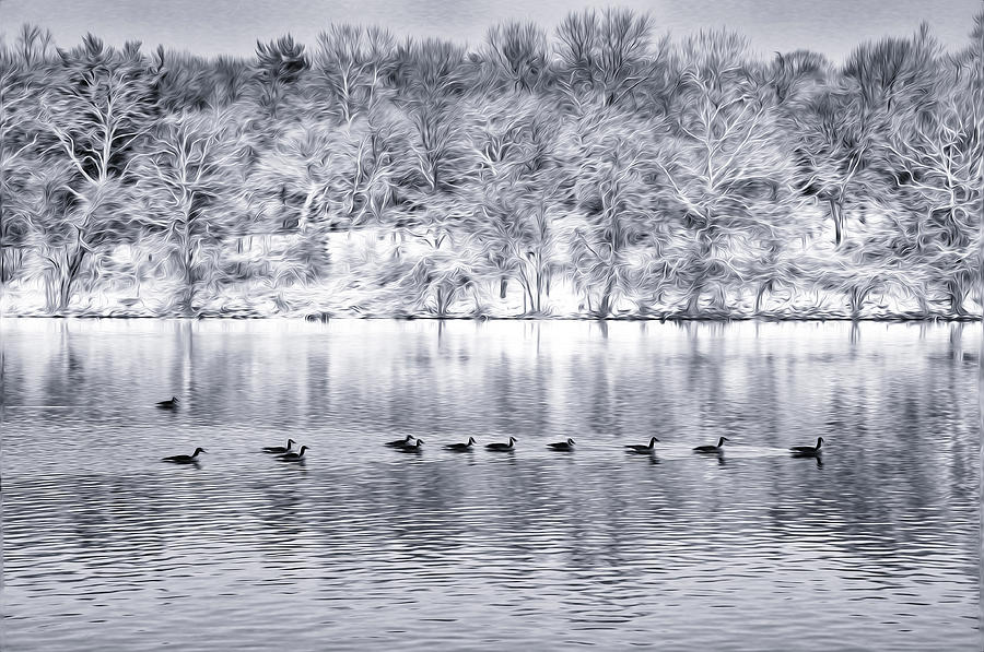 Ducks in Winter on the Schuylkill River Photograph by Bill Cannon